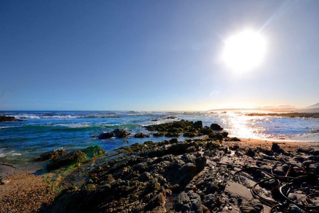 Saffron Cottage Hermanus Bagian luar foto